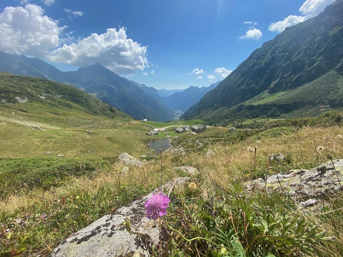 Mountain Valsesia Stella * Varallo